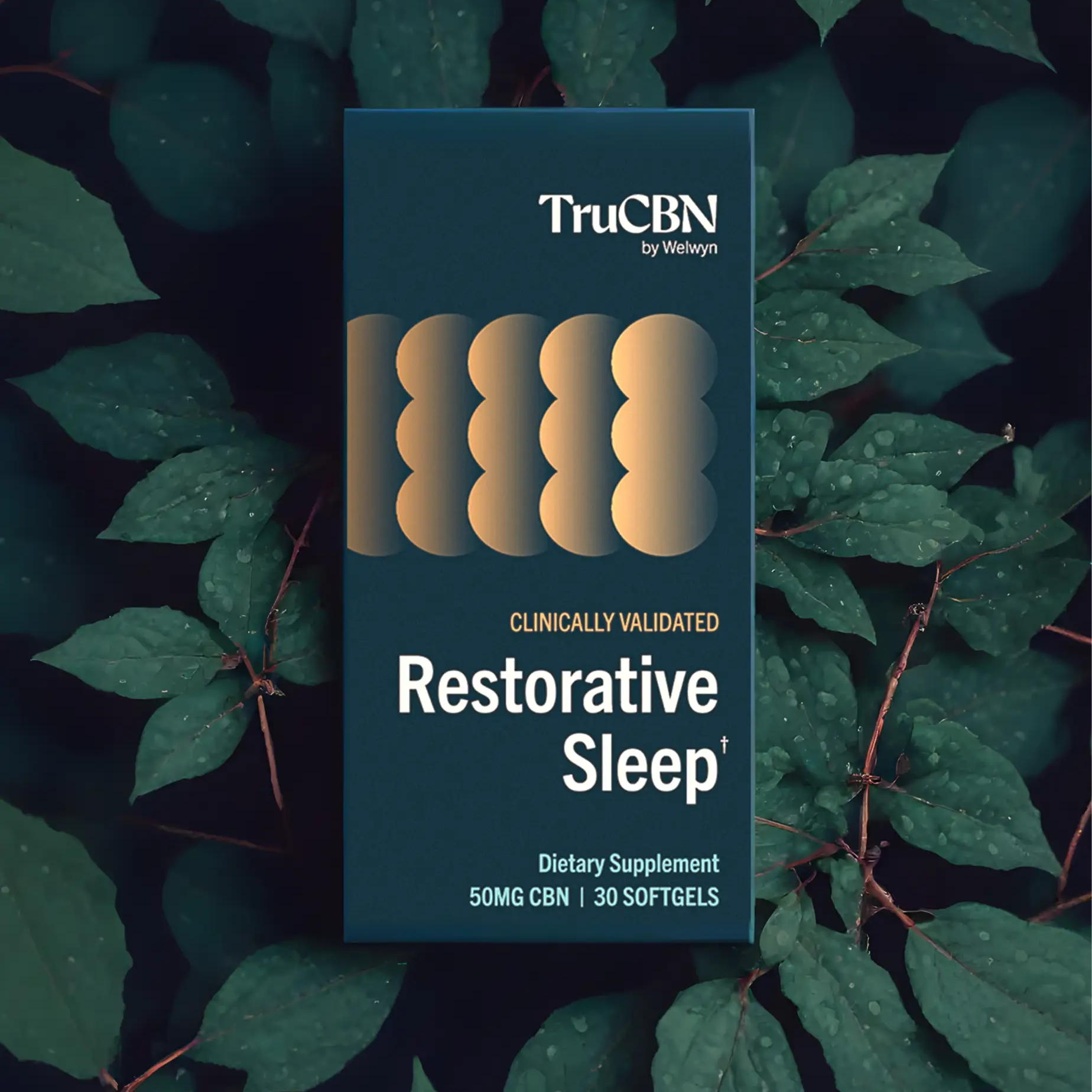 trucbn-cbn-for-sleep-118.webp