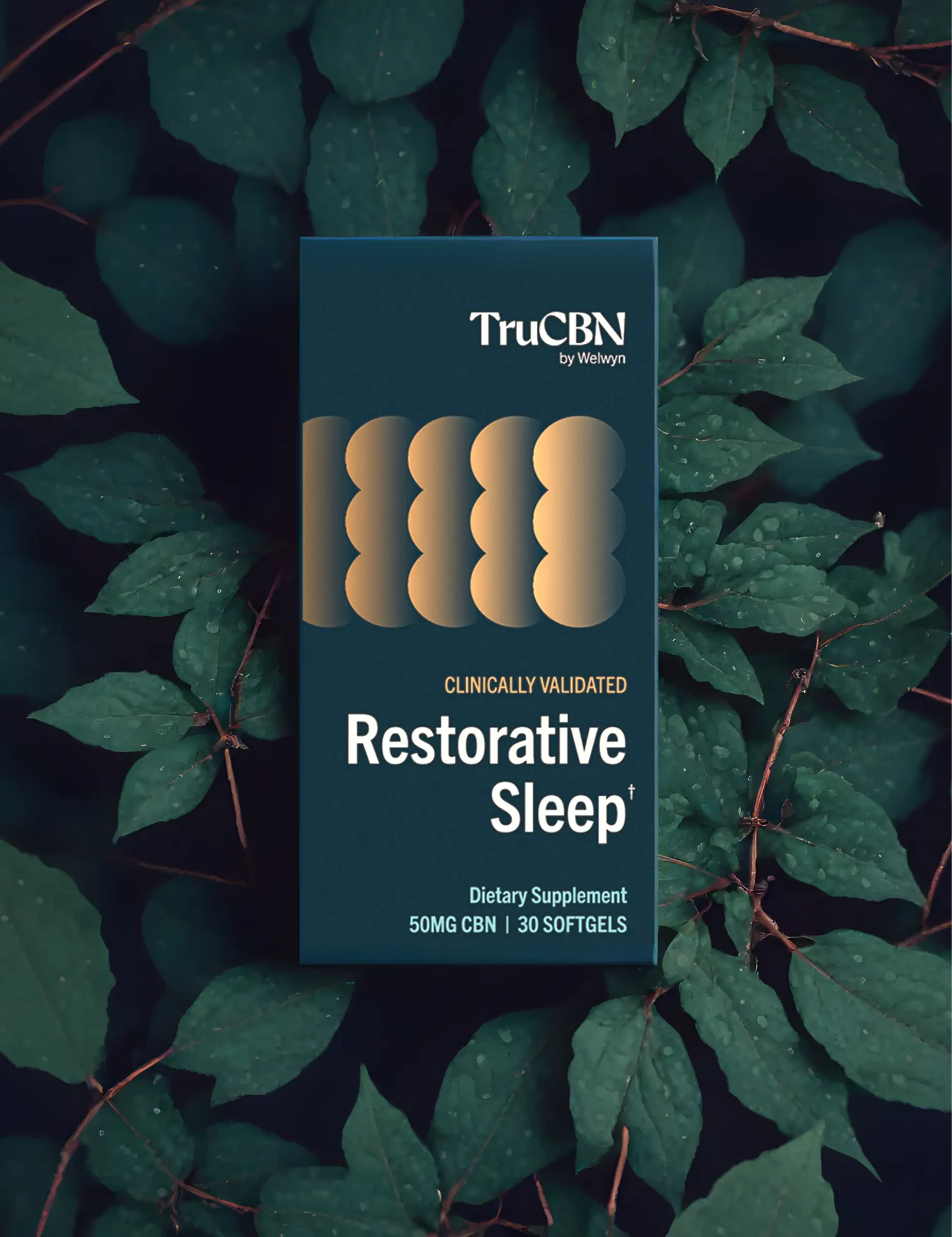 trucbn-cbn-for-sleep-118.webp